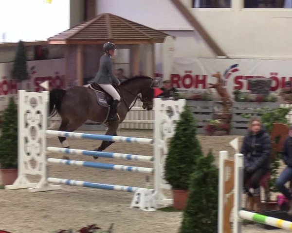 Nordic Jumping events 2020