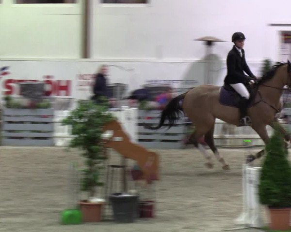 Nordic Jumping events 2020