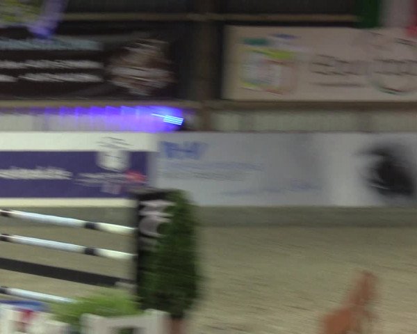 Nordic Jumping events 2020