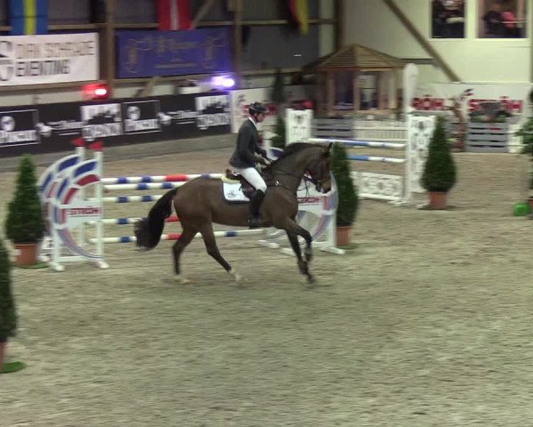 Nordic Jumping events 2020