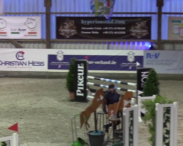 Nordic Jumping events 2020