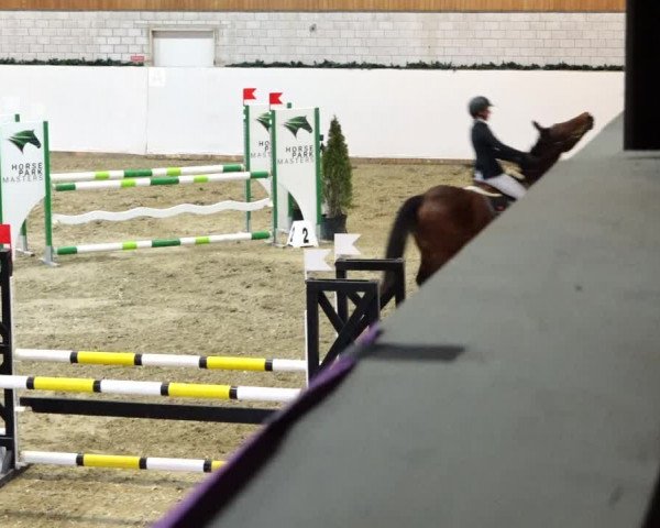 Reitturnier Würenlos 2020