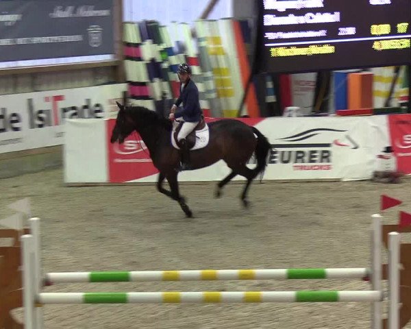 Nordic Jumping events 2020