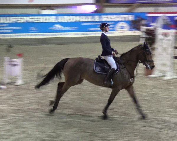 Nordic Jumping events 2020