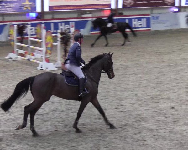 Nordic Jumping events 2020