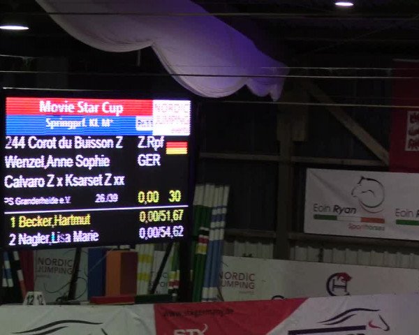 Nordic Jumping events 2020