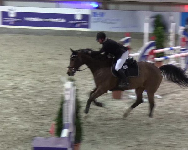 Nordic Jumping events 2020