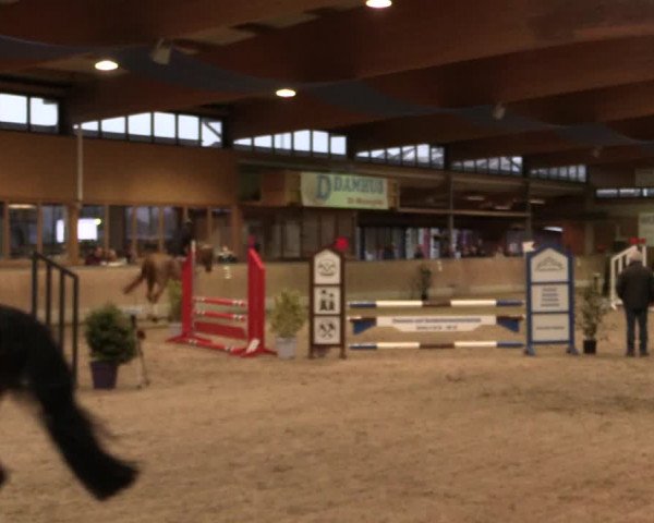 Reitturnier Heiden 2020