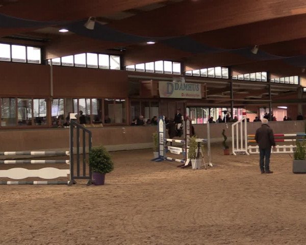 Reitturnier Heiden 2020