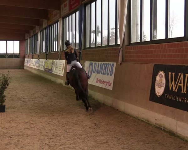 Reitturnier Heiden 2020