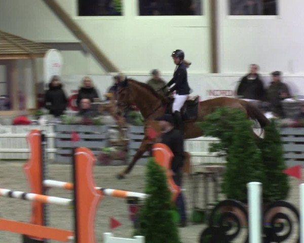 Nordic Jumping events 2020