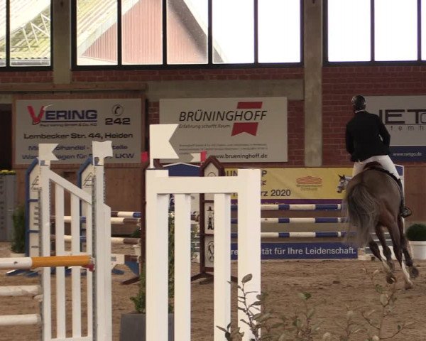 Reitturnier Heiden 2020