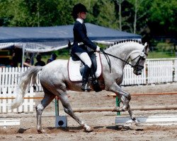 dressage horse Holsteins Saigon (German Riding Pony, 2006, from Holsteins Tamino)