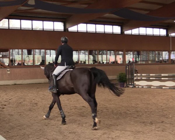 Reitturnier Heiden 2020