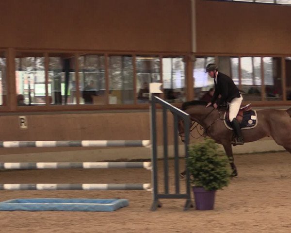 Reitturnier Heiden 2020