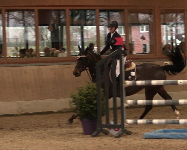 Reitturnier Heiden 2020
