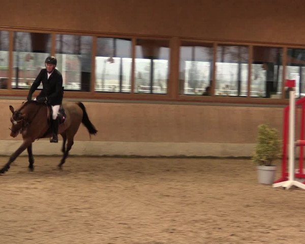 Reitturnier Heiden 2020