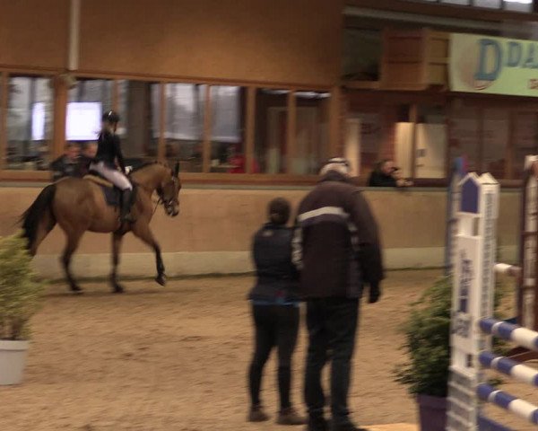 Reitturnier Heiden 2020