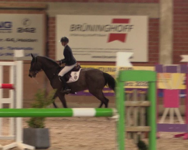 Reitturnier Heiden 2020