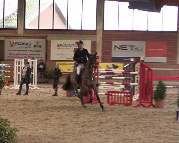 Reitturnier Heiden 2020