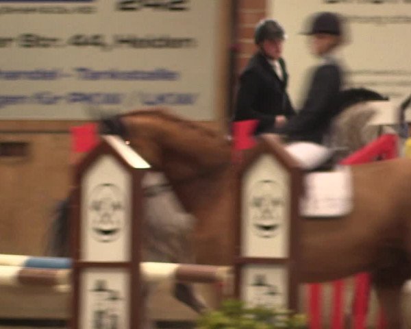 Reitturnier Heiden 2020