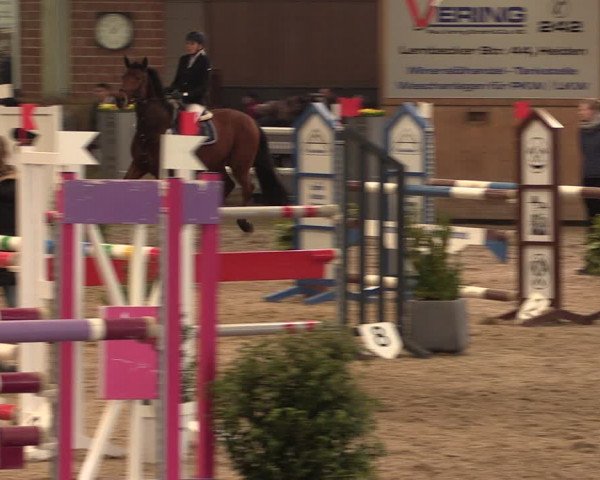 Reitturnier Heiden 2020