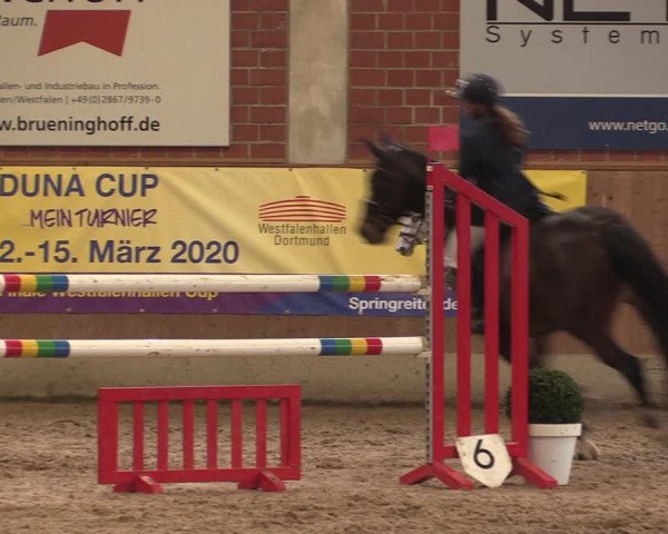 Reitturnier Heiden 2020