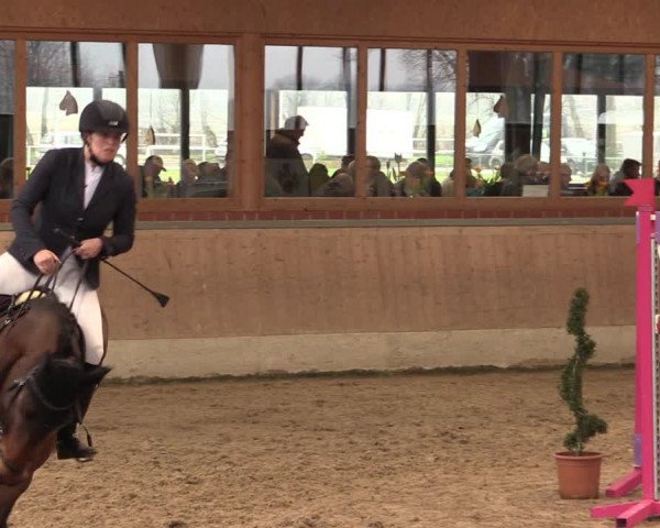 Reitturnier Heiden 2020
