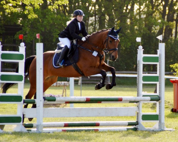 jumper Alena 37 (Hanoverian, 2000, from Alantas xx)