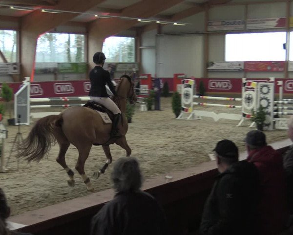 Reitturnier Goch-Asperden 2020