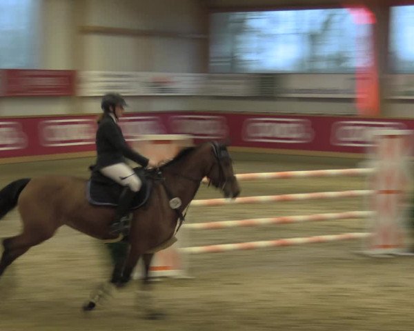 Reitturnier Goch-Asperden 2020