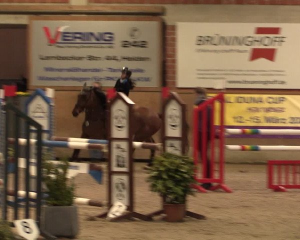 Reitturnier Heiden 2020