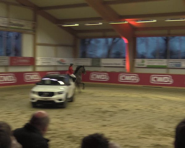Reitturnier Goch-Asperden 2020