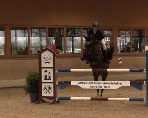 Reitturnier Heiden 2020