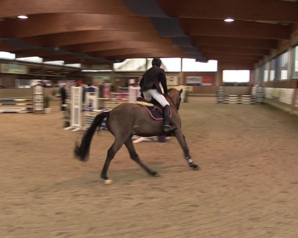 Reitturnier Heiden 2020