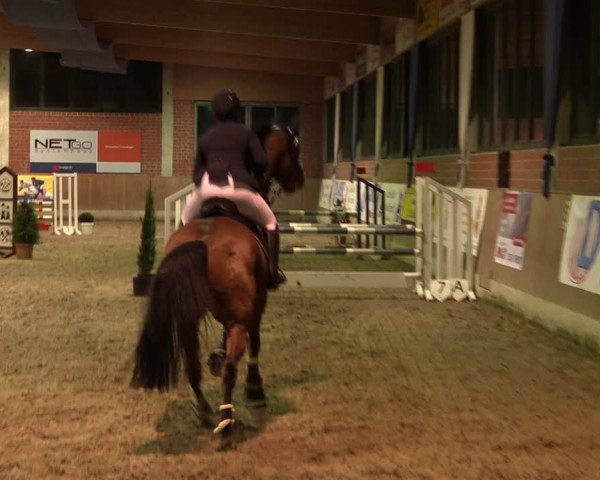 Reitturnier Heiden 2020