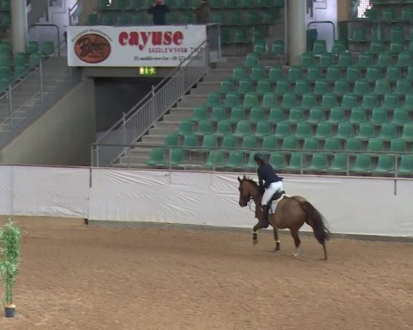 Reitturnier Kreuth/Opf. 2020