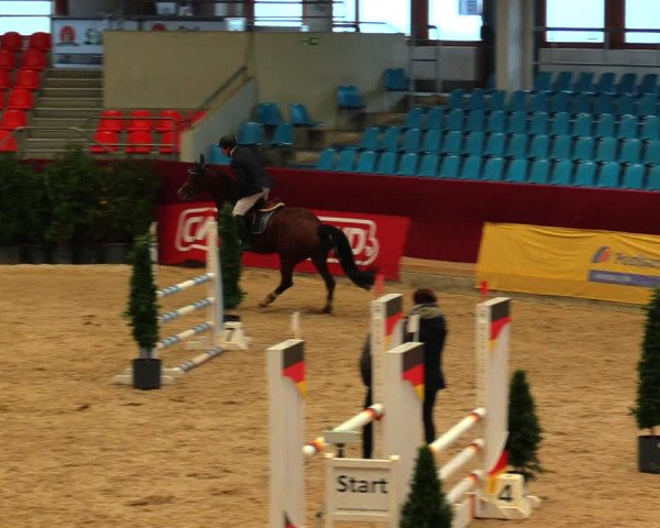 Reitturnier Neustadt/Dosse 2020