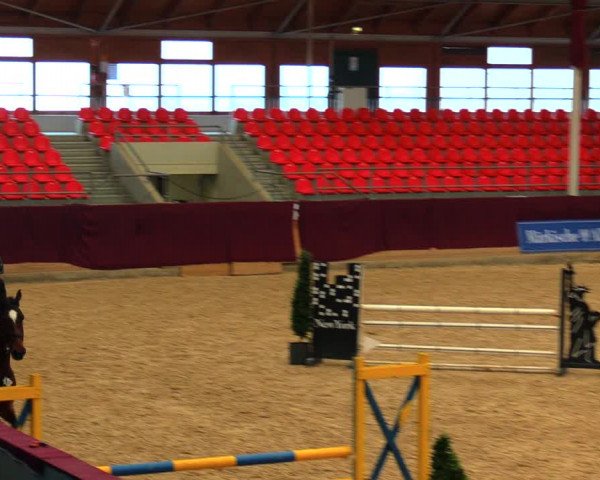 Reitturnier Neustadt/Dosse 2020