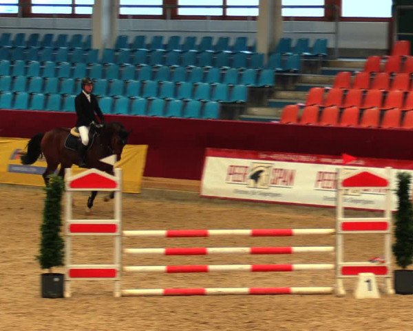 Reitturnier Neustadt/Dosse 2020