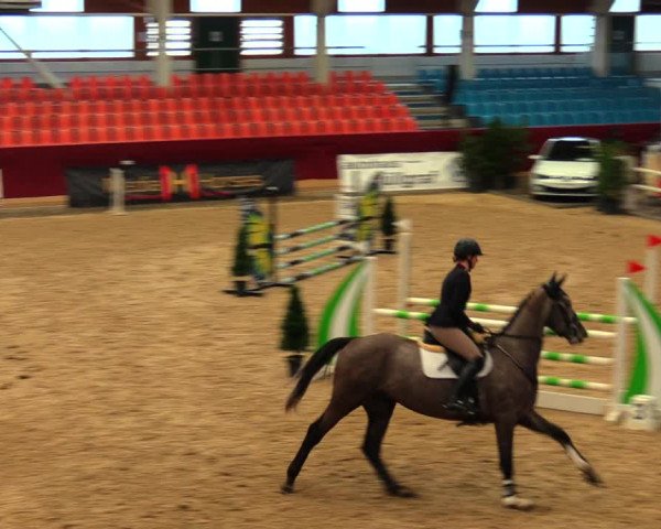 Reitturnier Neustadt/Dosse 2020