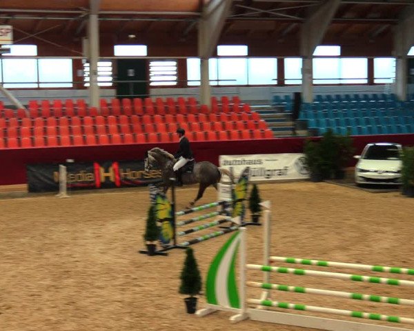 Reitturnier Neustadt/Dosse 2020