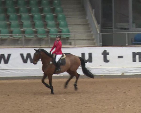 Reitturnier Kreuth/Opf. 2020