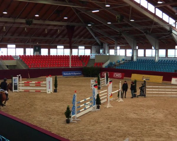 Reitturnier Neustadt/Dosse 2020