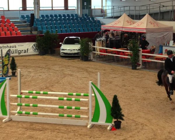 Reitturnier Neustadt/Dosse 2020