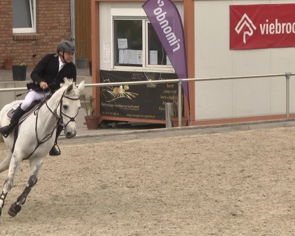 Reitturnier Durmersheim-Hardt 2021