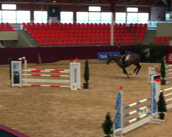 Reitturnier Neustadt/Dosse 2020