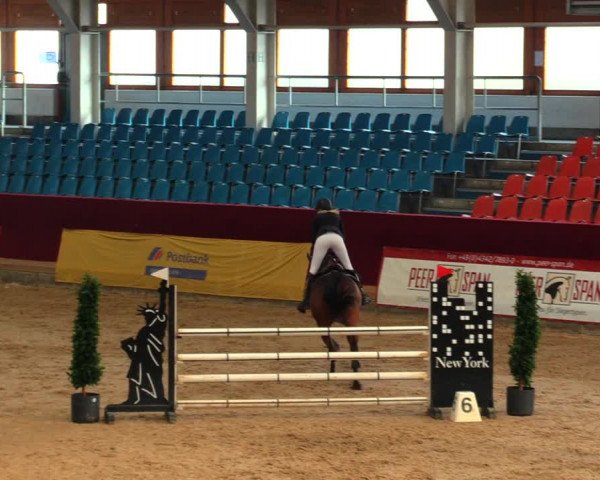 Reitturnier Neustadt/Dosse 2020