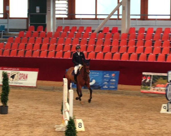 Reitturnier Neustadt/Dosse 2020