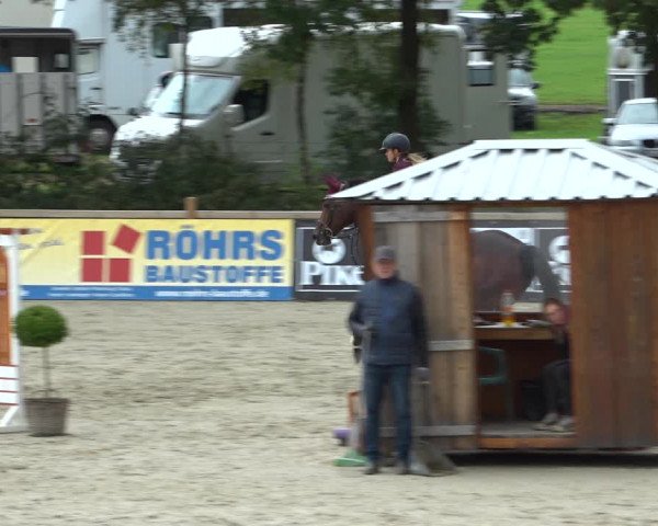Reitturnier Westergellersen 2021